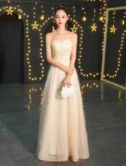 Evening Dresses Champagne Long Prom Dress Strapless Applique Maxi Formal Gowns