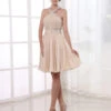Halter Pleated Chiffon Cocktail Dress Wedding Guest Dress